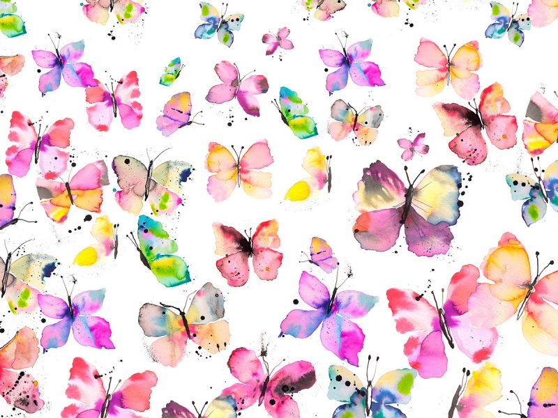 Ninola Design Watercolor Butterflies